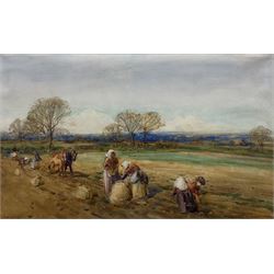 John Atkinson (Staithes Group 1863-1924): Picking Potatoes, watercolour signed 27cm x 45cm