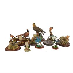 Collection of Border Fine Arts bird figures, including Pheasant No A1475, Golden Eagle No A0658, Swallow No A3457 etc