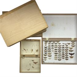 Entomology; Five storeboxes, four by the