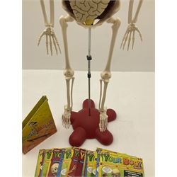 Billie Bones anatomy skeleton with set of magazines volume one to thirty four, skeleton H120cm. 