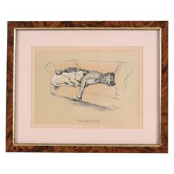 Continental School (Early 20th century): Portrait of a Young Man, watercolour and pencil unsigned 50cm x 30cm; After Cecil Aldin (British 1870-1935): 'Trepidation' 'Resignation' & 'Toleration', set of three book plate prints 12.5cm x 18cm (4)