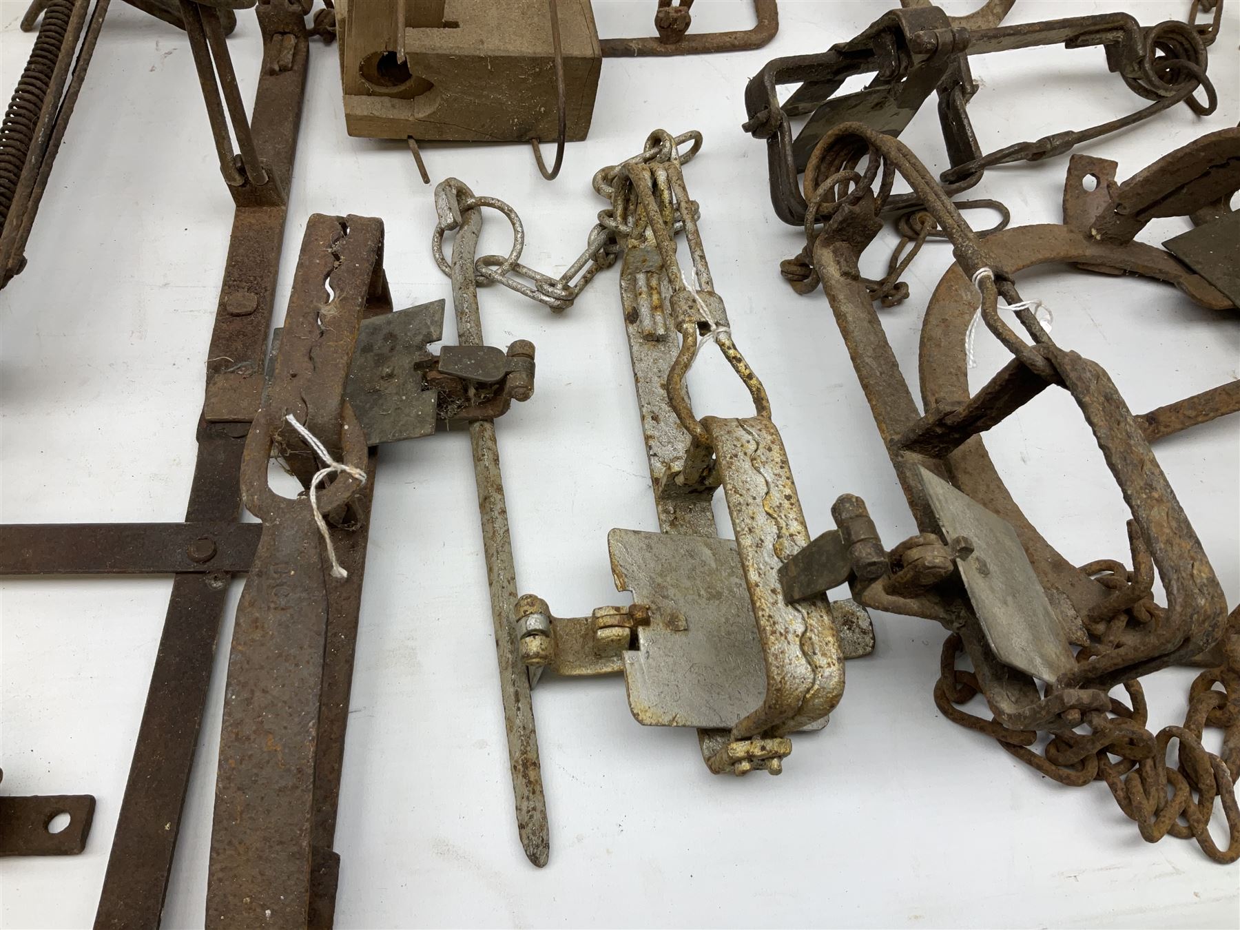 Quantity of animal traps including, gin traps, mole traps, Henri Marty wirework cage trap etc. Auctioneer's Note: These traps are sold as artefacts for ornamental purposes only as the use of some of them is illegal.
