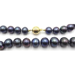  Single strand graduating large blue/grey pearls with 9ct gold clasp stamped 375  
