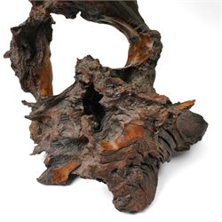  Mid-20th century burl root wood table lamp and shade overall H85cm