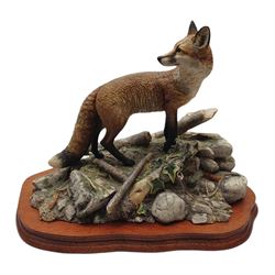 Limited edition Border Fine Arts figure 'The Last Look', depicting a fox upon naturalistic base, by David Walton, signed and impressed 1994, no.813/1250, model BFA204, on wooden base 