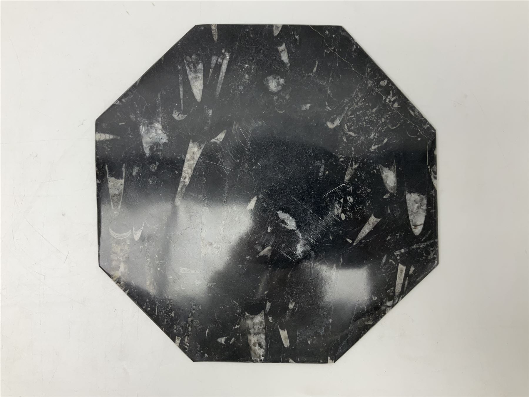 Four octagonal plates, each with Orthoceras and Goniatite inclusions, age: Devonian period, location: Morocco, D30cm