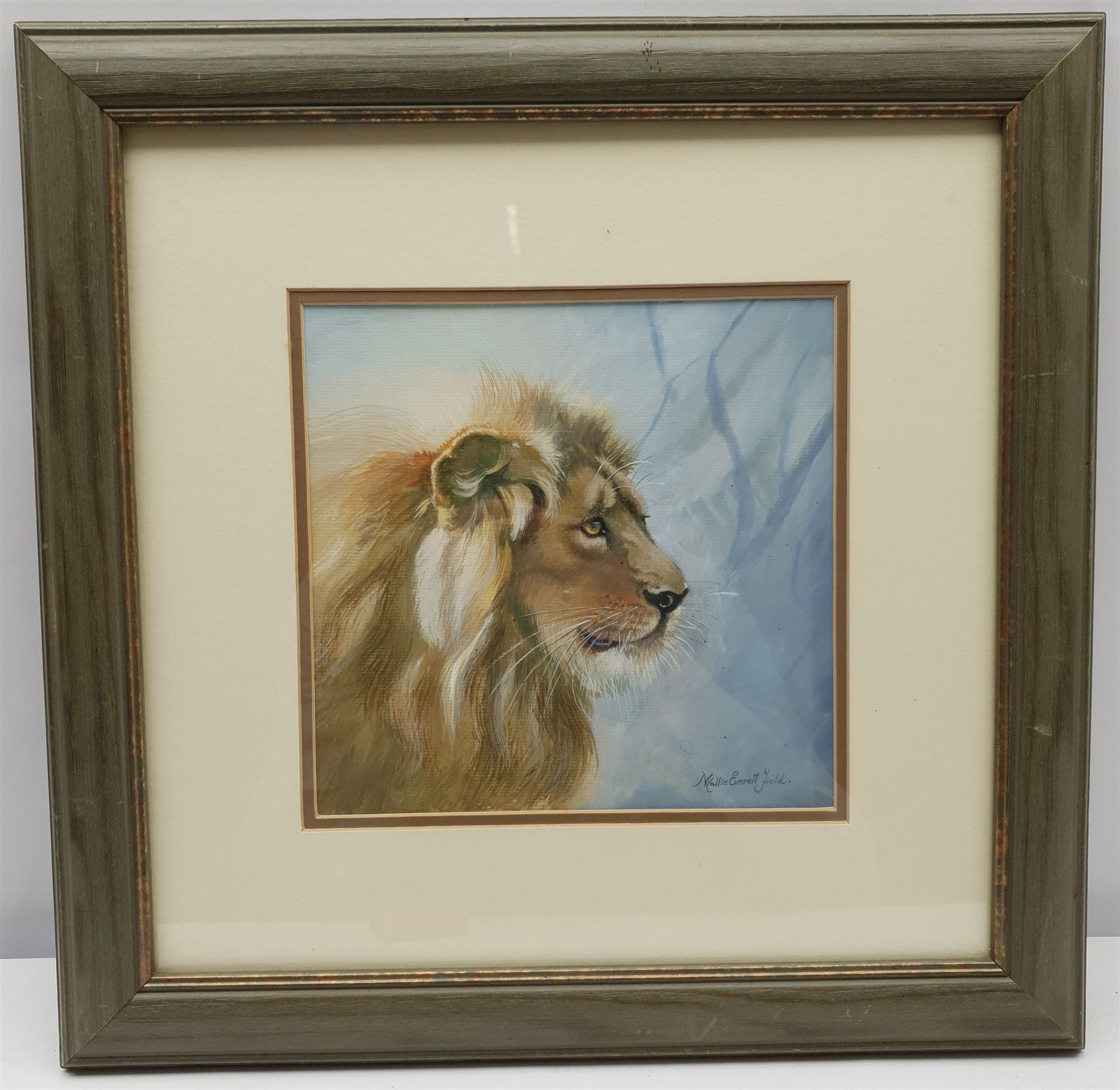 Mollie Everett Field (British 1939-): Portrait of a Lion, watercolour signed 20cm x 20cm