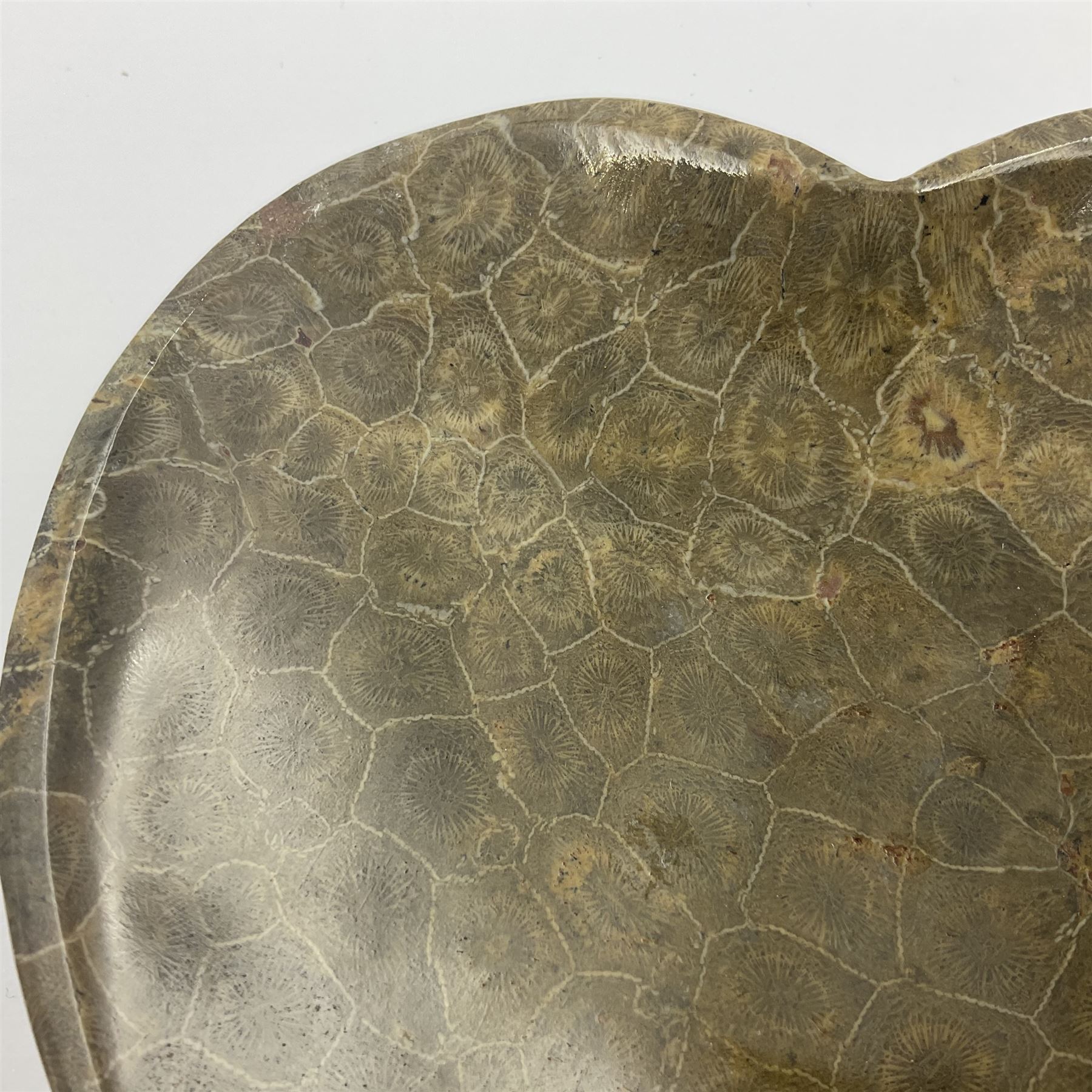 Fossilised coral dish in the form of a heart, D13cm