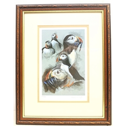 Robert E Fuller (British 1972-): Puffins, limited edition colour print signed and numbered 40/200 in pencil 26cm x 16cm