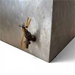 IAE - two galvanised water troughs, one with tap