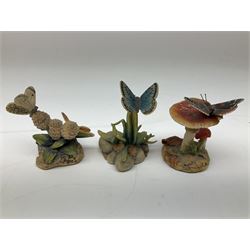 Nine Border Fine Arts Butterflies including Swallowtail, Peacock, Orange tip,  Clouded Yellow, Large Blue, Camberwell Beauty, Red Admiral, Small Tortoiseshell and Swallowtail, tallest example H10cm