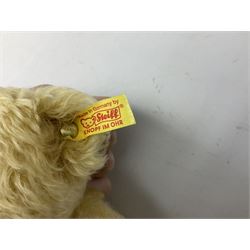 Steiff replica Classic 1905 bear, in matched Rupert box 