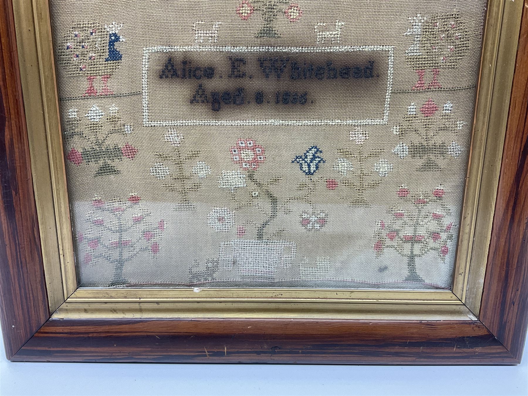 Victorian needlework sampler, depicting cat, peacock, tree and plant motifs, with a band of alphabet and numbers above, worked by Alice E Whitehead, aged eight years, dated 1886, framed, H40cm