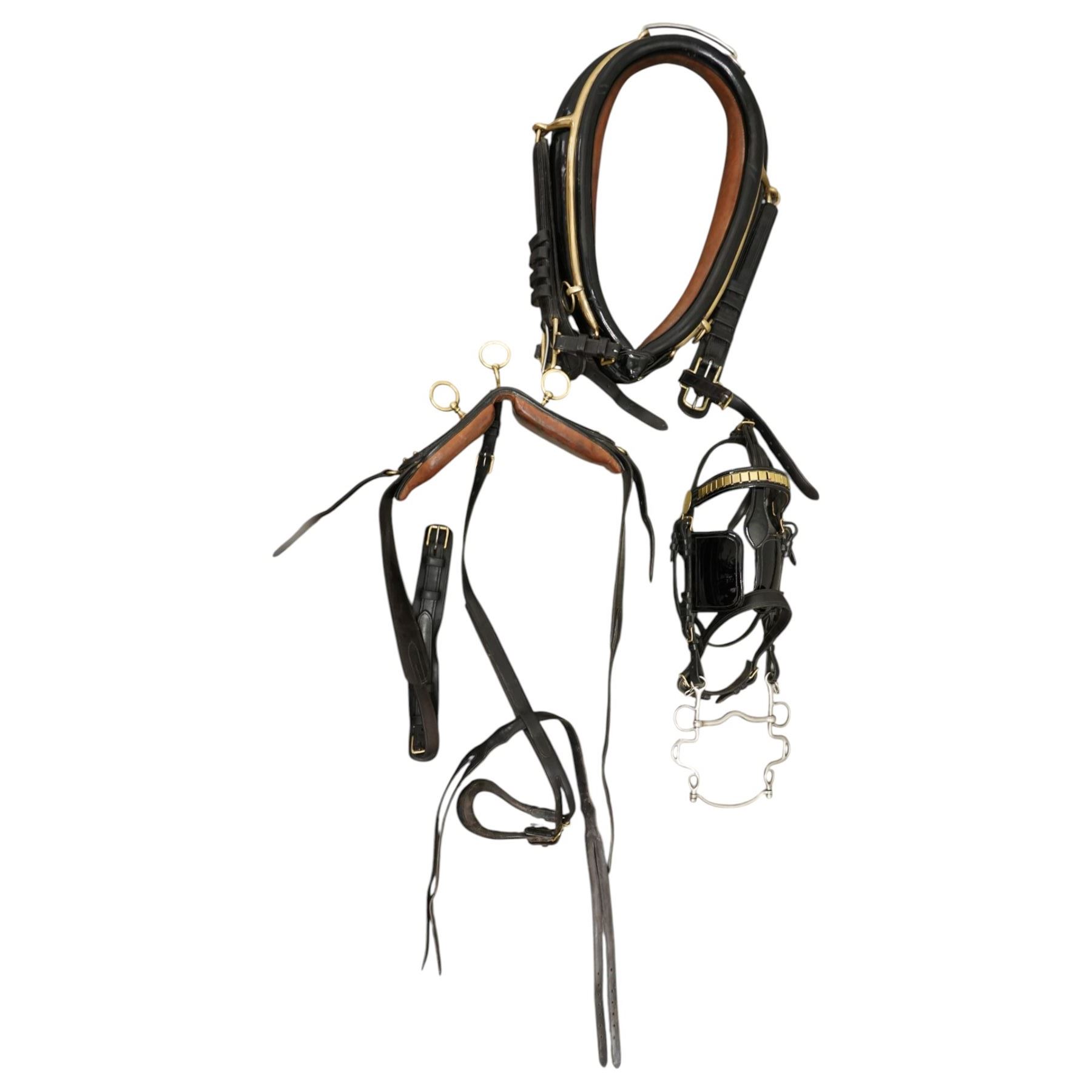 John McDonald - team set of black leather and brass harness, including four black patent leather collars (24