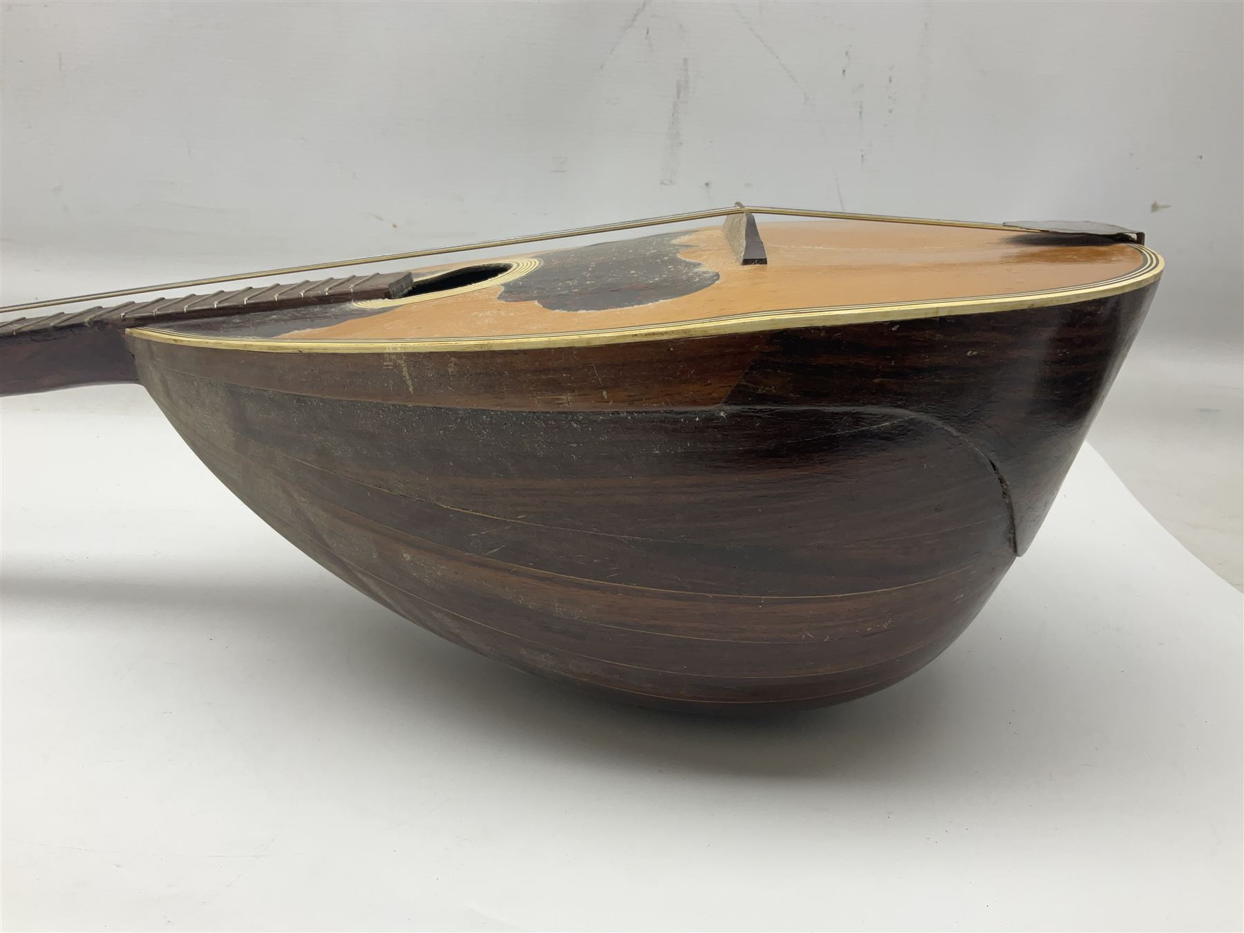 Italian bouzouki type long necked mandolin with segmented lute back and