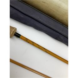 Hardy 'Continental Special Palakona' 8' 4