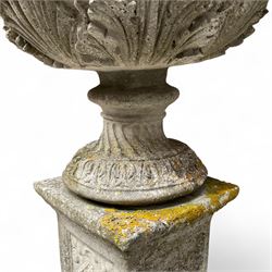 Pair of cast stone ornate garden urns, on plinth bases
