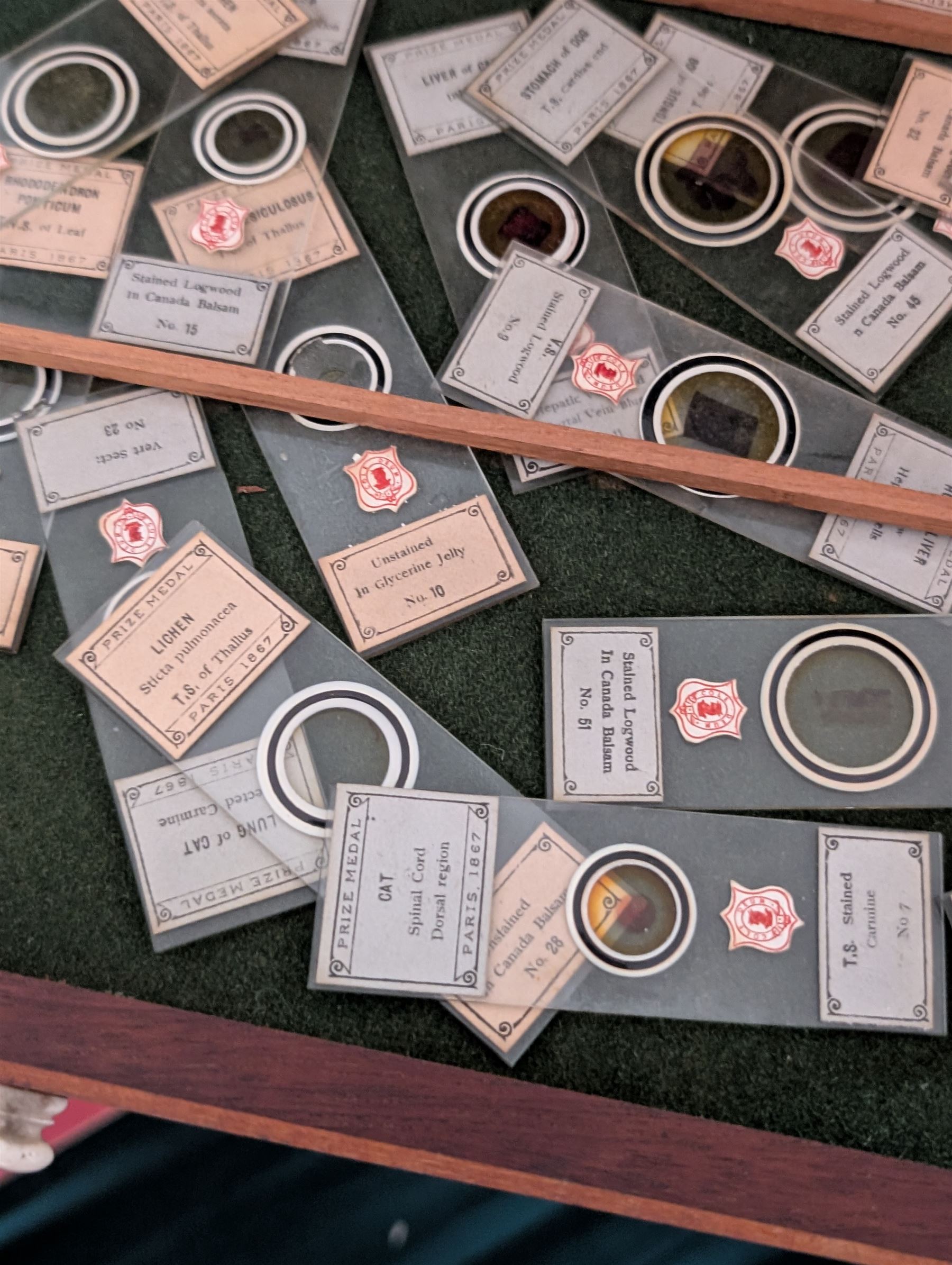Victorian collector's specimen cabinet, containing a number of prepared microscope slides including miniature photographs, animal and human pathological, physiological and histological specimens and botanical specimens, mostly annotated in ink, the cabinet with glazed door, the drawers with bone handles and lined with green felt, owned by Dr Arthur Bristow, together with a picture of the doctor, cabinet H43cm