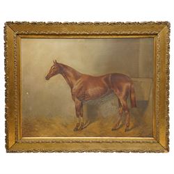 John Charles Tunnard (British 1873-1960): Portrait of a Chestnut Racehorse in Stable, oil on canvas signed and dated 1895, 47cm x 63cm