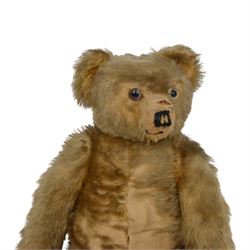 Early 20th century teddy bear, probably German, blonde mohair bear with glass eyes, straw filled snout with stitched nose, hand stitched centre seam, wood wool filled body, jointed limbs, swivel head and hump to back, H67cm