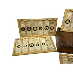 19th century and later, thirty-six microscope slides, to include entomology and plant specimens; cased    