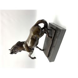 Bronze figure modelled as a prancing horse, upon a naturalistically modelled rectangular base, and black marble plinth, H34.5cm, L31cm