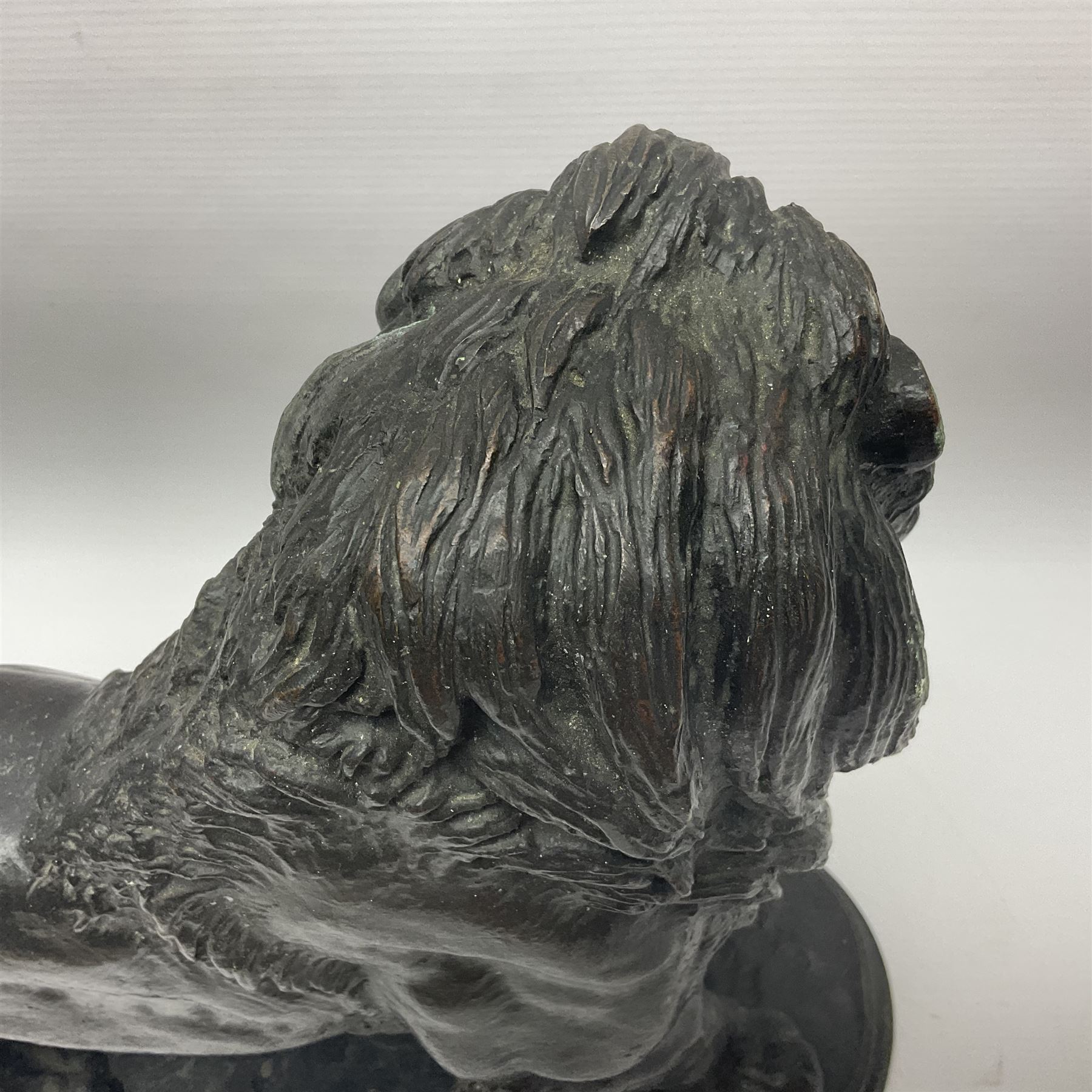 After Paul Edouard Delabrierre (French, 1829-1912), bronze, model of a lion, upon an oval base, signed E Delabrierre, overall H29.5cm, L46cm