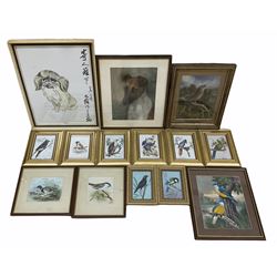 Small quantity of ornithological and animal paintings and prints