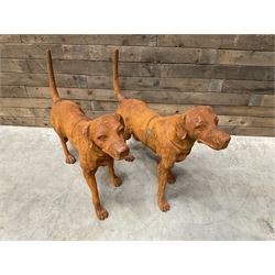 Pair of life-size heavy cast iron garden Hunting dogs