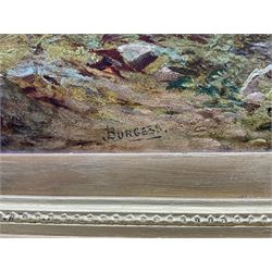 J Burgess (19th century): Scottish Landscape with Deer, oil on board signed 43cm x 63cm