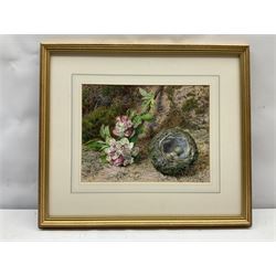 John Sherrin (British 1819-1896): Apple Blossom and Birds Nest on a Mossy Bank, watercolour signed 20cm x 26.5cm