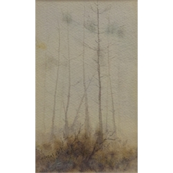  Woodland and River Scenes, three watercolours signed by Christine M Pybus (one unframed) and Flowers on a Balcony, watercolour signed by Robert Brindley (British 1949) max 19cm x 32cm (4)   