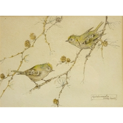  'Goldcrests' and 'Stonechats', pair watercolours signed by Daisy Smith (British 1891-1963) 15cm x 20cm (2)  