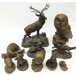  Cellini Arts bronzed figure of a stag H29cm, two similar tawny owls and seven other bronzed figures including mouse, badger, otter etc (10)  