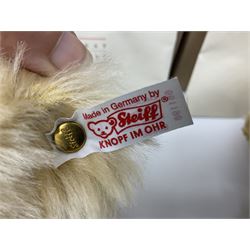 Two modern Steiff limited edition teddy bears - Prince William's 21st Birthday Bear with growler mechanism No.58/1500 H35cm; and Cherished Teddies Collection Daisy No.4269/5000 H33cm; both boxed with certificates (2)