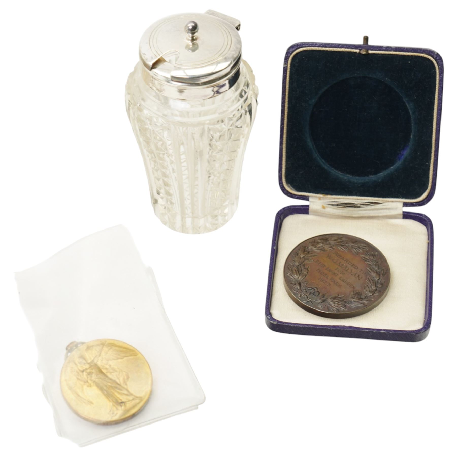 Amber and silver earrings; silver bangle; Barbara Cattle silver plated cruet set, RHS bronze medal, Great War for civilisation medal 