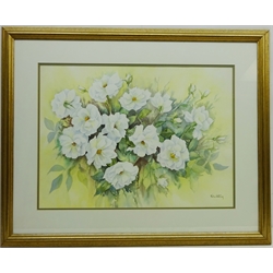  'White Dog Roses', watercolour signed by Thelma Whiting, titled verso 39cm x 54cm   