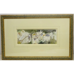 Richard Pikesley (British 1951): 'A Cage of Ducks', watercolour signed, titled verso on Richard Haegen, Broadway gallery label verso 11cm x 30cm