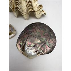 Carved oyster shell depicting tahiti, together with half a clam shell and other shells 
