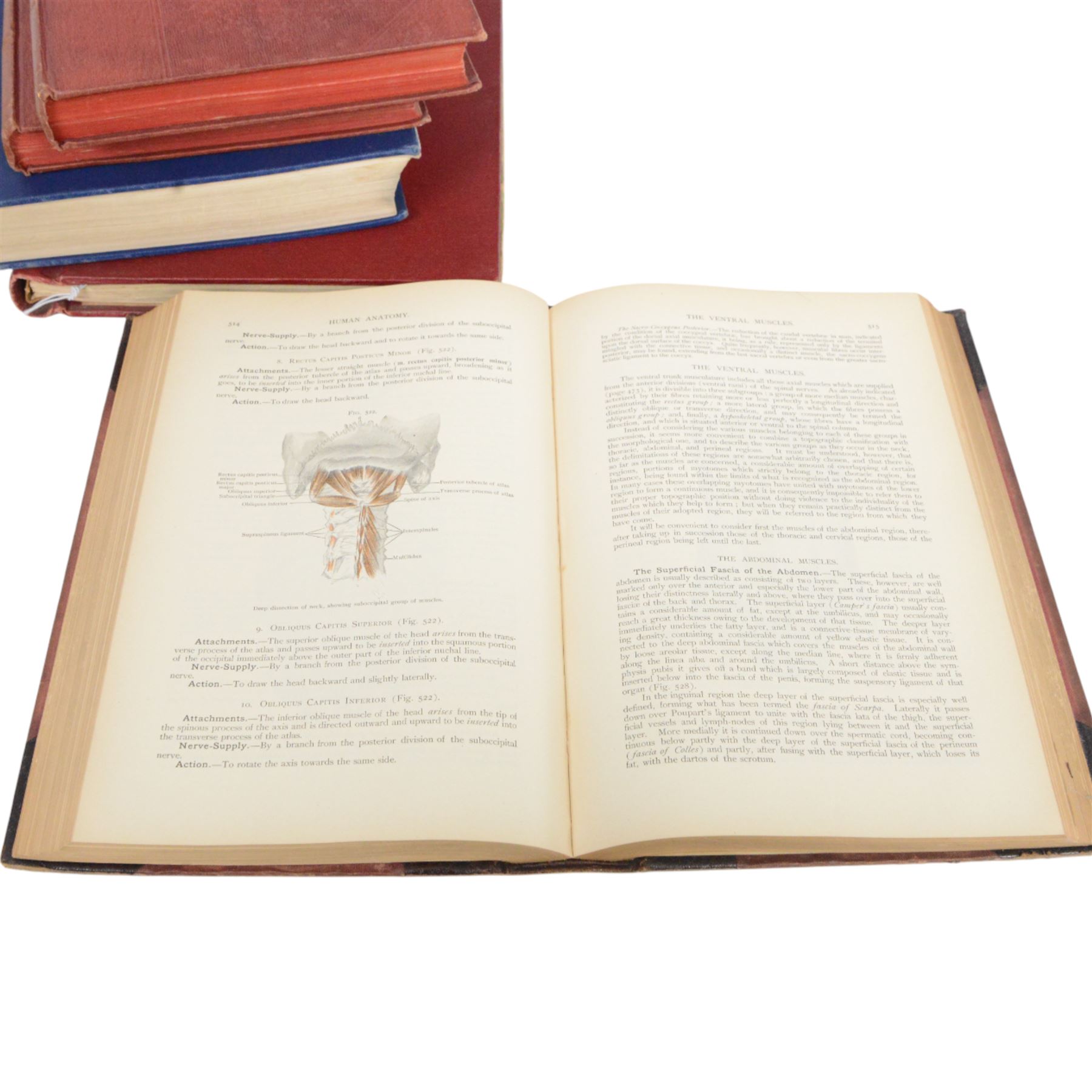 Collection of Medical books, including Human Anatomy Vol I & II, Virtue's Household Physician A Twentieth century Medica Vol I & II and An Atlas of Anatomy, together with a album of stamps