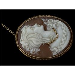 9ct gold cameo brooch, hallmarked, silver jewellery including brooch and earrings and a collection of costume jewellery