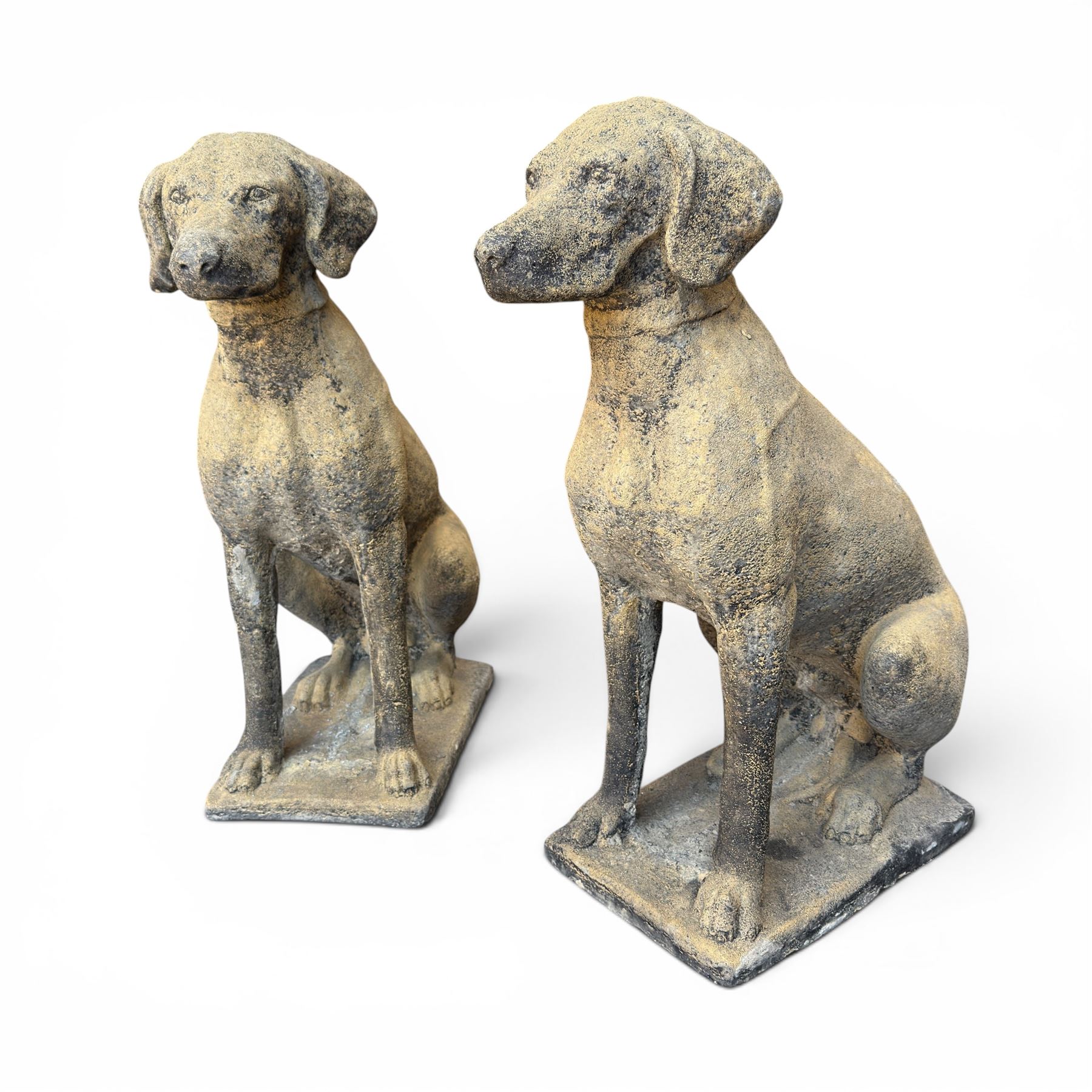 Pair of cast stone hunting pointer dogs in seated poses raised on rectangular bases, in antique weathered finish
