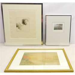  'Angel', artist's proof etching signed, titled and dated '93 by Jane Lewis (1953-), Woodland Scene, gum print, inscribed and dated 1986 verso by Andrew Sanderson, Rural River Landscape with Bridge signed Go Ba? and one other max 64cm x 49cm (4)  