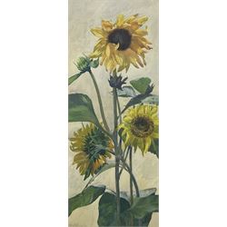 Adolf K (Continental 20th Century): Sunflowers, watercolour indistinctly signed 53cm x 22cm 