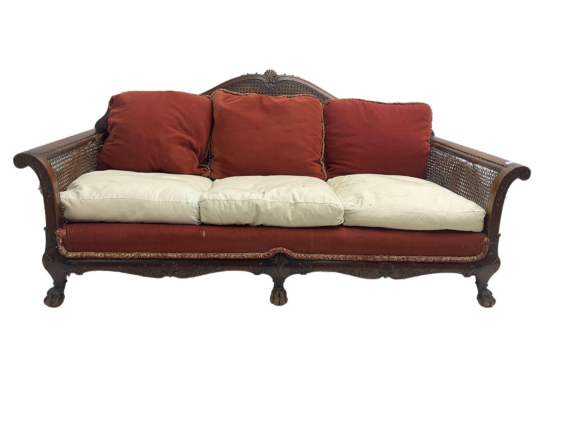 Early 20th century bergère three seat settee, shaped shell carved cresting rail, double caned back and sides, scrolled upright arms and shaped apron carved with shell and foliage, on hairy paw carved feet