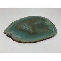 Pair of green agate slices, polished with rough edges, raised upon silvered metal stands, H23cm