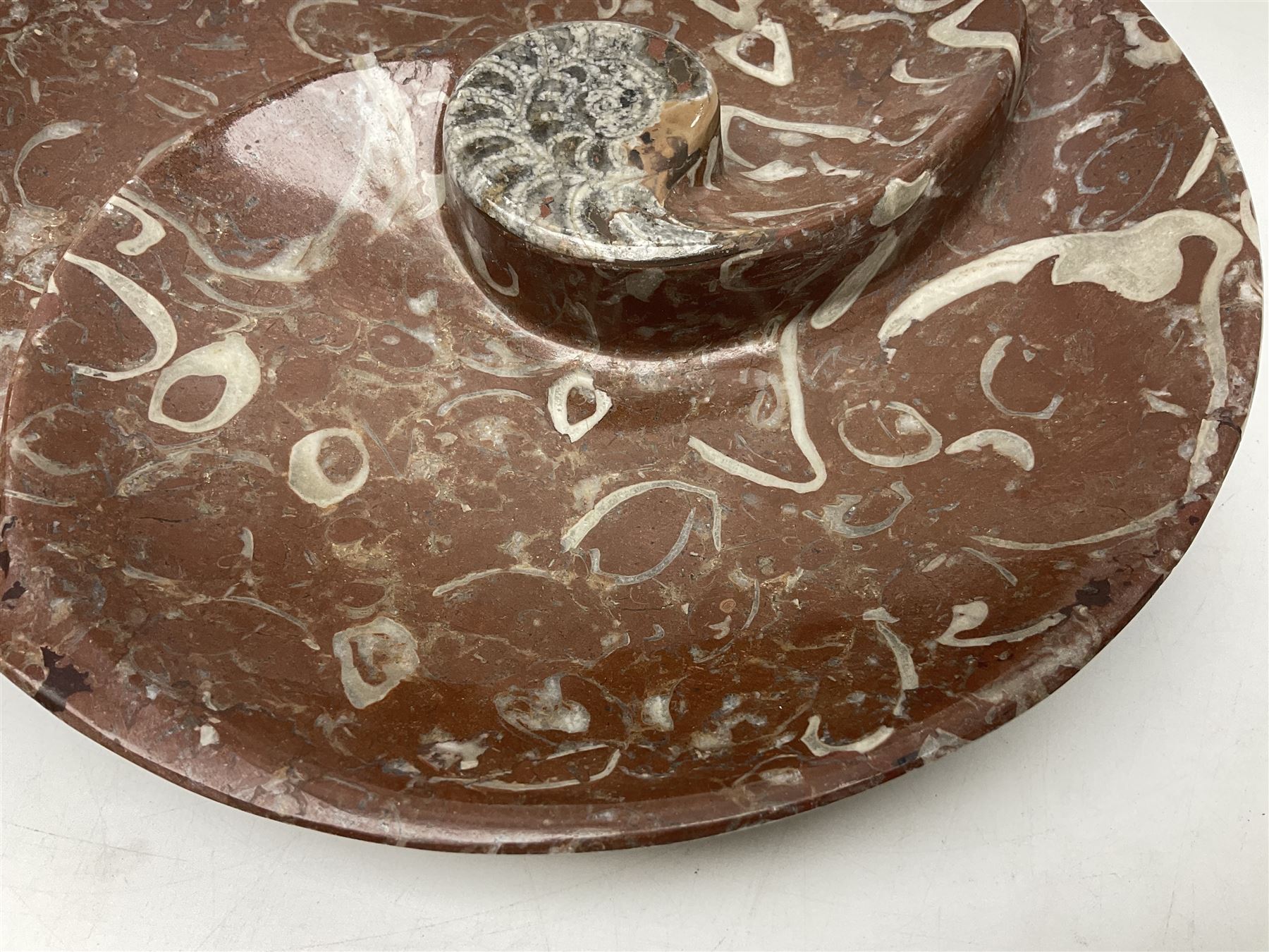 Large circular dish with a raised Goniatite to the centre and Orthoceras inclusion, age: Devonian period, location: Morocco, D30cm