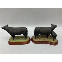 Border Fine Arts figures, to include Galloway Bull, A2692, Galloway Cow & Calf, A3790, Well Warmed, A1454, Found Safe, A0602 etc (7) 