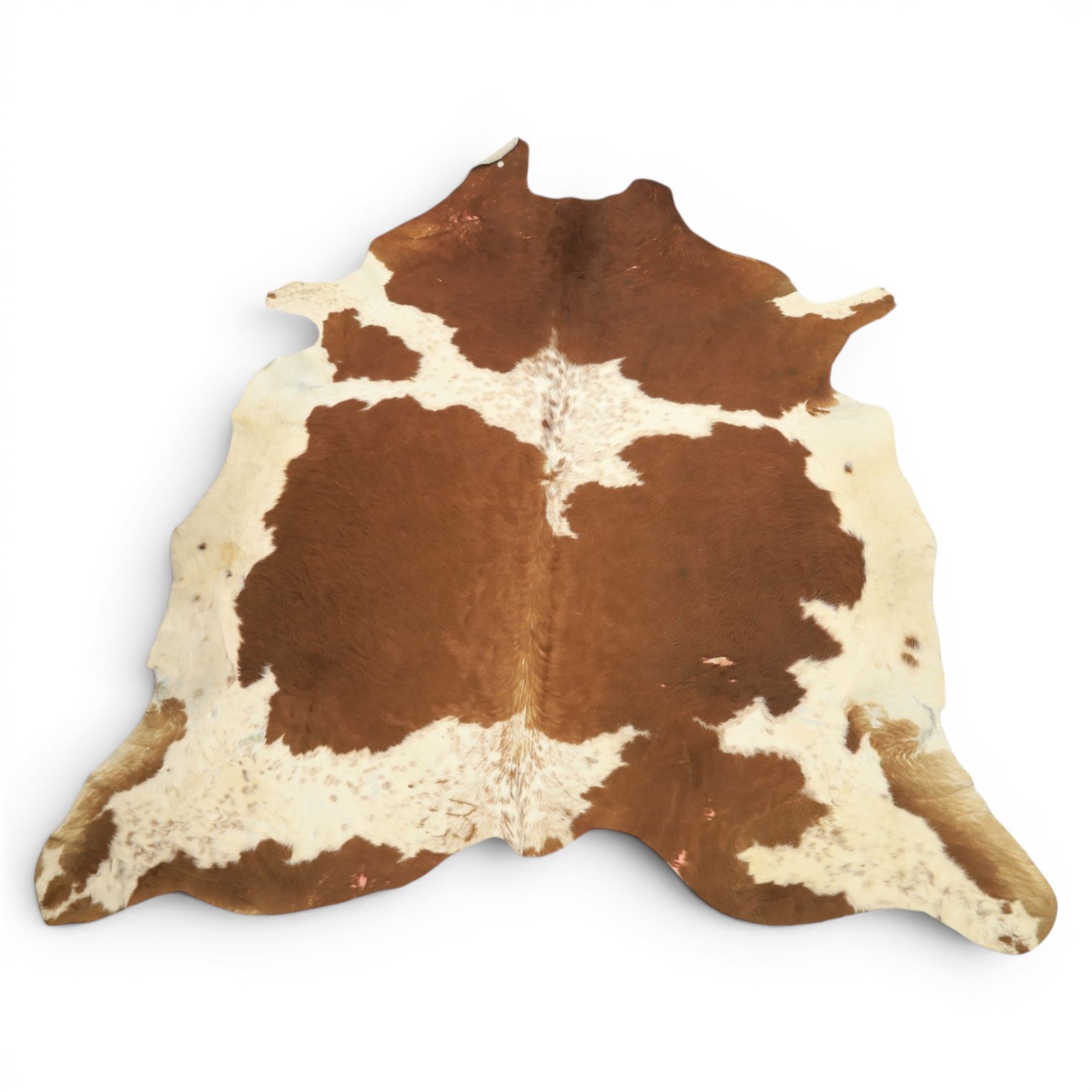 Cow hide rug or wall hanging, shaped with brown and white tones