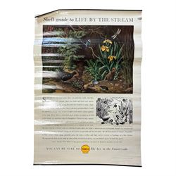 Collection thirty seven vintage county guide posters produced by Shell, H76cm, W51cm